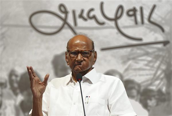 Explainer: Sharad Pawar and the art of politics, is the Maharashtra strongman really losing control of NCP?
