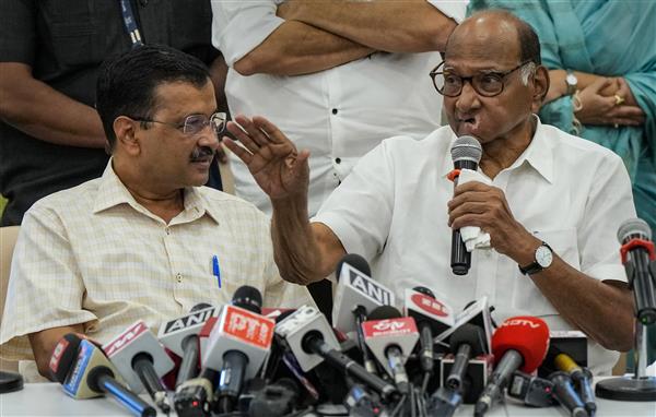 NCP backs AAP over Centre's ordinance