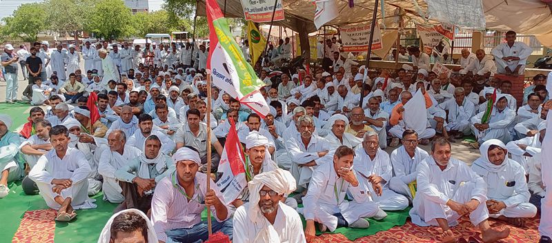 Haryana farmers protest 'extortion' bid by cow vigilantes