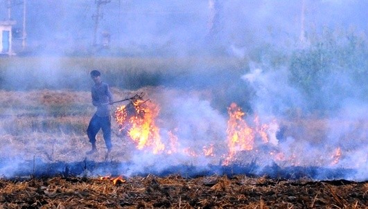 At 94, max farm fires in a day in Haryana