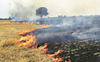 Farmers inundate fields to hide burnt residue