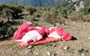 Pilot, tourist hurt in paraglider crash