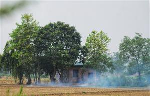 Wheat season ends, farm fires less than last year in Ludhiana district