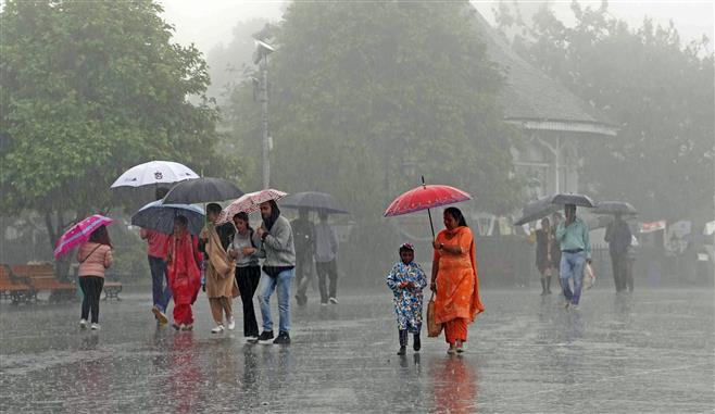 himachal rain alert 5days