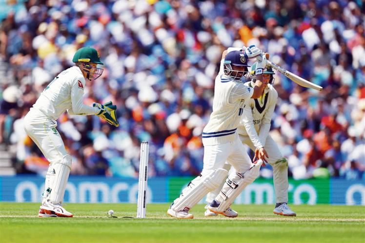 Aussies corner battered India