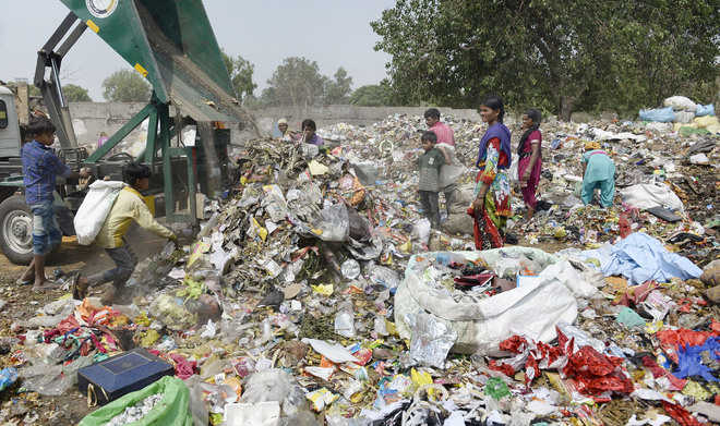 Civic body to segregate waste before disposal