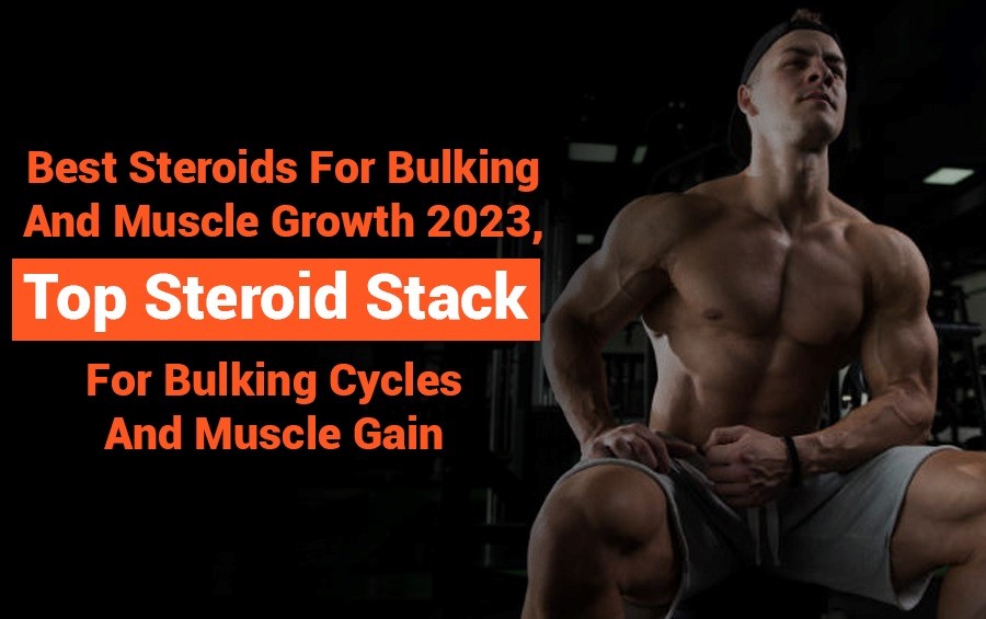 Best Steroids for Bulking And Muscle Growth 2023, Top Steroid Stack For Bulking Cycles And Muscle Gain