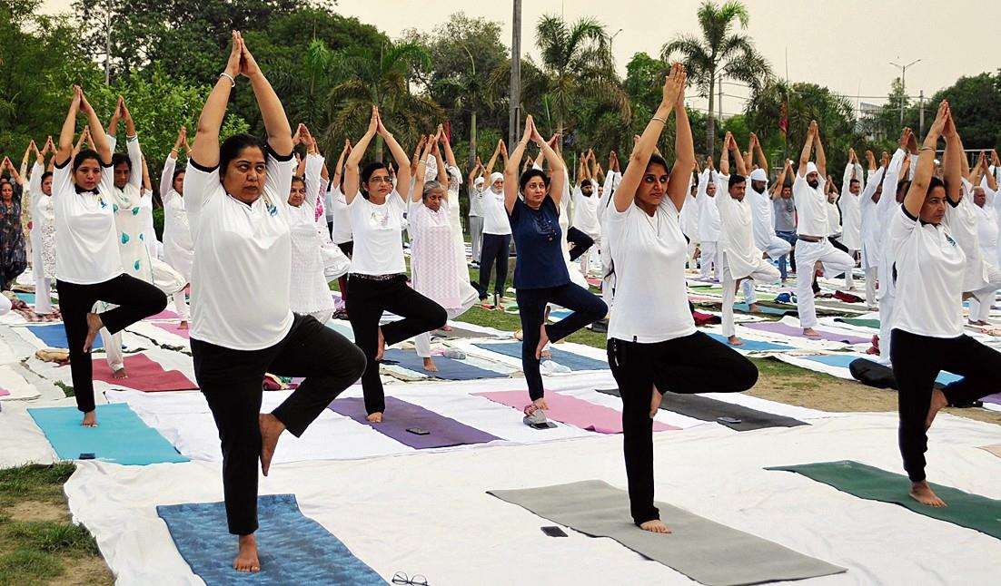 Yoga Classes in Amritsar  Yoga Centre in Amritsar – H2H Fitness
