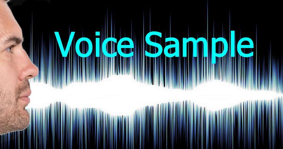 M3M owner, retd judge give consent for voice samples