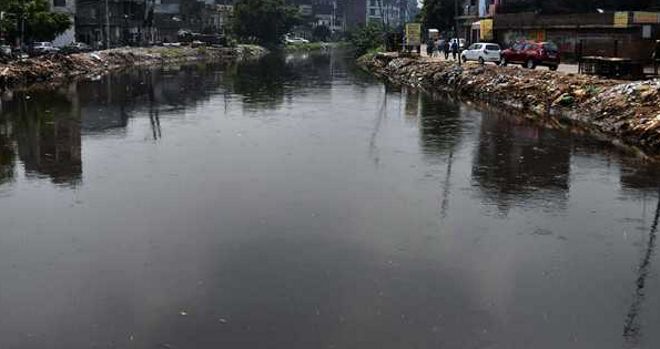 Untreated domestic, dairy effluents major source of water pollution in city