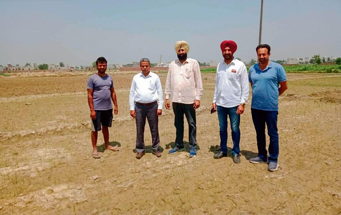 Agriculture Department intensifies drive for DSR in Amritsar district