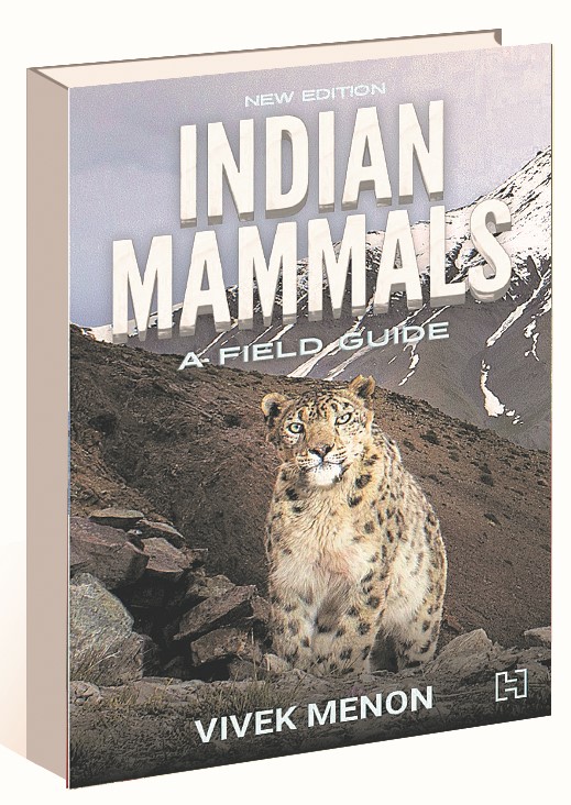 Indian mammals: A  field guide