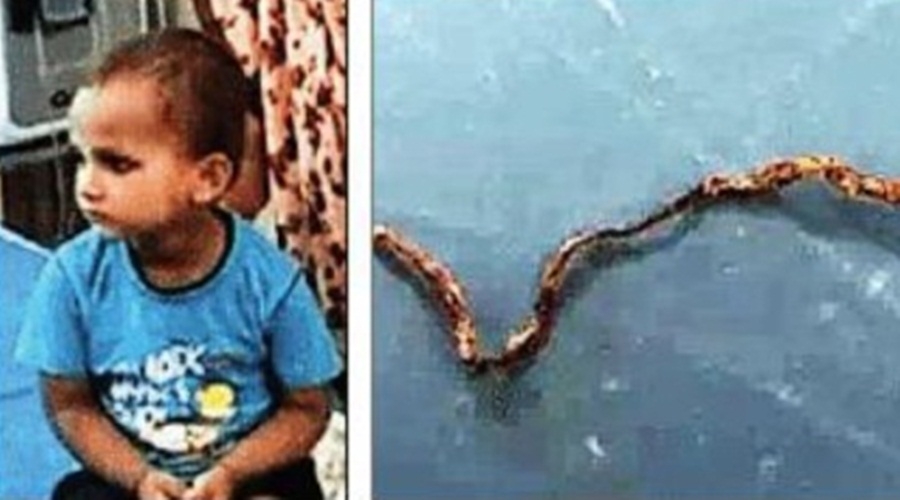 3-year-old chews snake to death in Uttar Pradesh village, survives