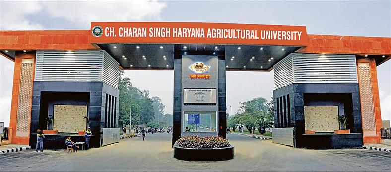 Only 4 universities from Haryana in top 100