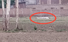 Bomb shell found in fields in Punjab’s Hoshiarpur