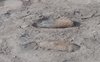 Bomb shell found in fields in Punjab’s Hoshiarpur