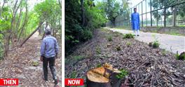 200 trees ‘felled’ for city’s 1st green corridor along N-Choe