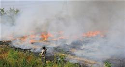 591 stubble-burning cases in district so far