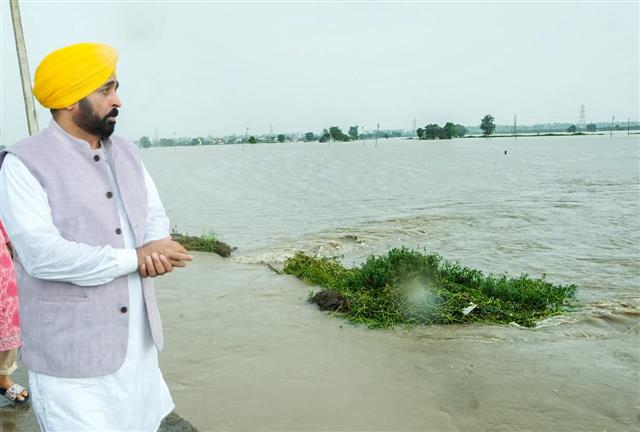 As rains pour trouble in Kharar, Punjab CM Bhagwant Mann, state BJP chief Sunil Jakhar make a visit