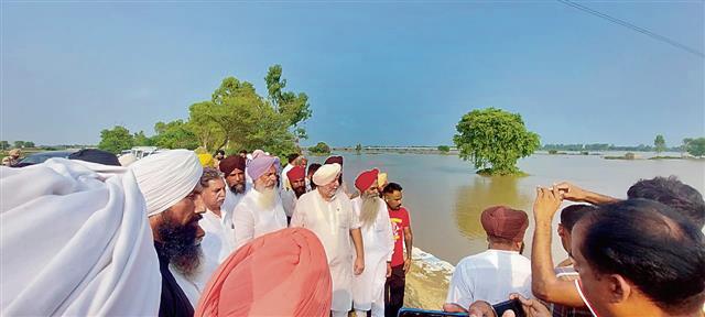 Congress Khadoor Sahib MP Jasbir Singh Dimpa visits flood-hit areas