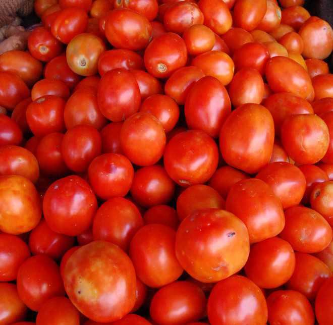 Finally, northern region sees fall in tomato prices