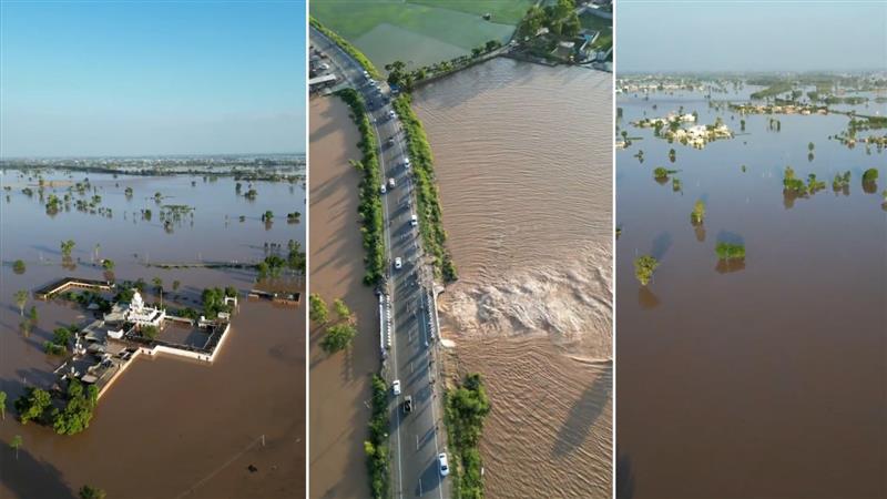 Punjab flood catastrophe: 'Where is the government, leaders only coming to click photos for social media'; anger grows as flood situation worsens