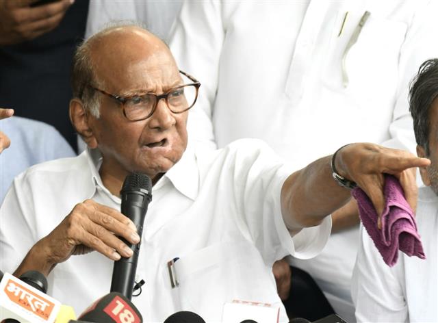 Sharad Pawar asserts he's NCP president; says 82 or 92 years, will work more effectively to rebuild party