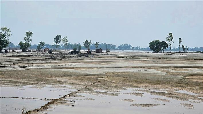 Shahkot: Sand, silt render fields ‘unfit’ for sowing crops
