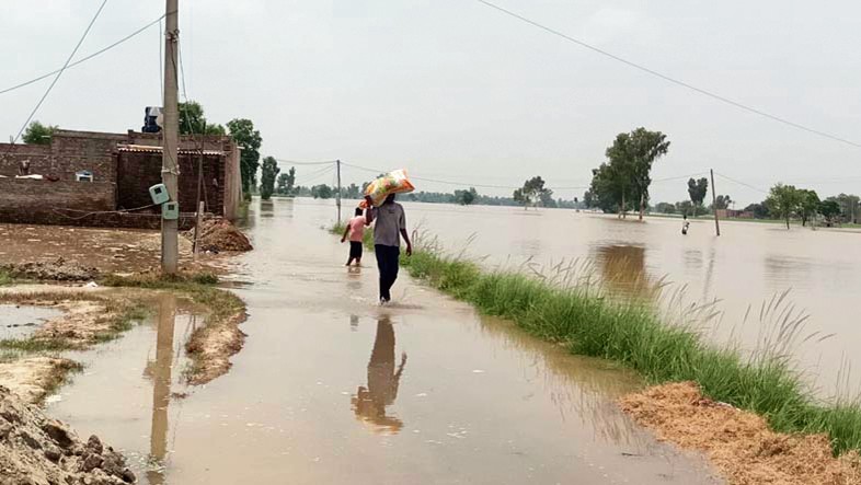 41 killed in Punjab floods, over 1,600 people living in relief camps