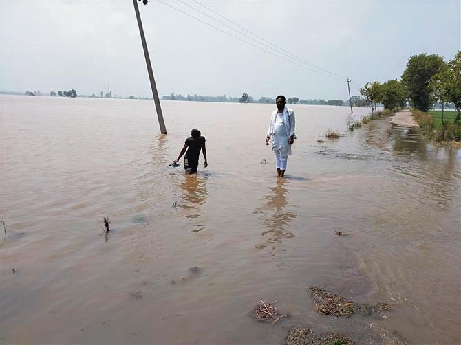 Floodwaters from Punjab enter 5 Fatehabad villages