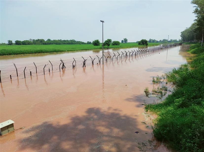 Monsoon fury: Floodwater reaches Kartarpur Sahib corridor, pilgrimage put on hold