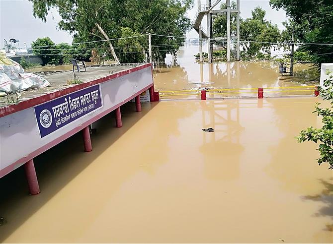 25 government schools under water in Jalandhar