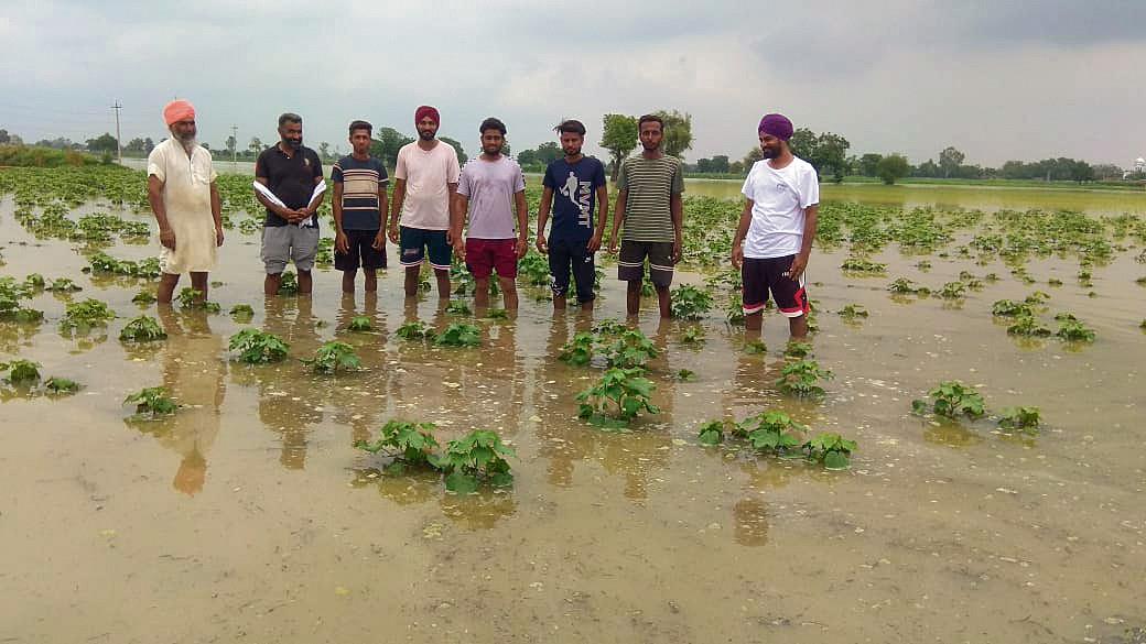 effects of floods on crops