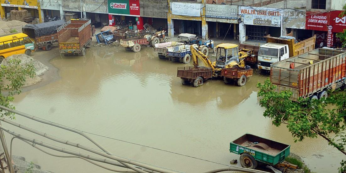 Amritsar: Inundated roads turn into breeding ground for mosquitoes