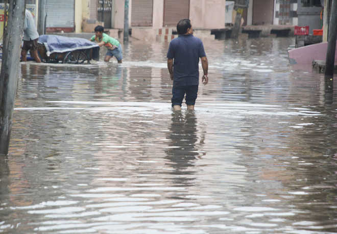 Ambala: Congress, AAP leaders visit flood-hit areas, demand relief
