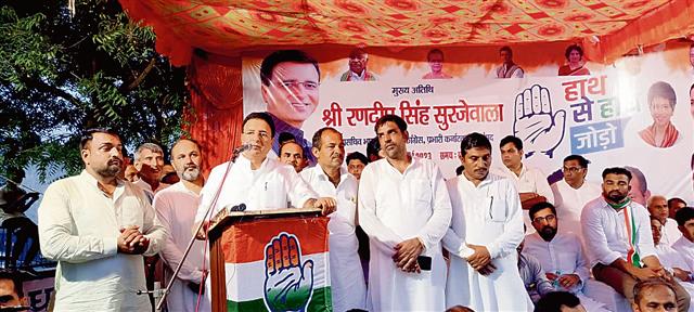 Randeep Singh Surjewala slams BJP for ‘neglecting’ BCs : The Tribune India
