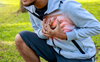 Studies underway on cases of sudden cardiac arrest among youngsters after Covid: Govt