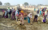 Parliamentary panel slams government over MGNREGA fund cuts