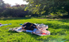 Kareena Kapoor Khan takes a nap with son Jeh in park, see pic