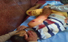 3 non-locals hurt as ultras open fire at Shopian village