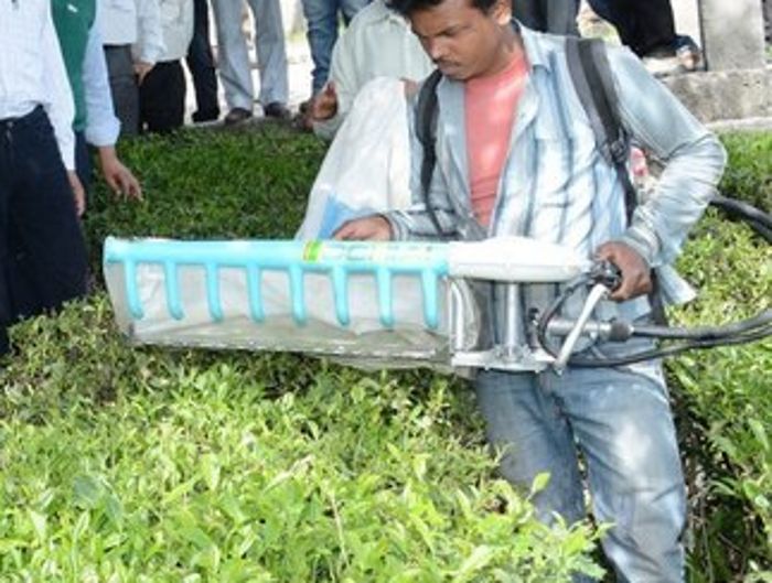 50% subsidy on tea-plucking machines in Himachal