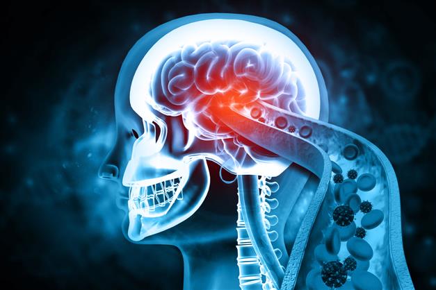 New study identifies gene ‘fingerprint’ for brain ageing, sheds light on memory decline