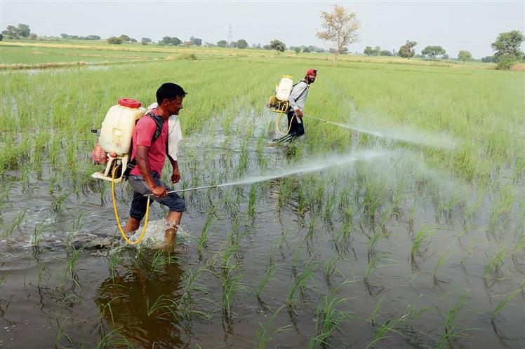 3,378 farmers await relief for insured crops