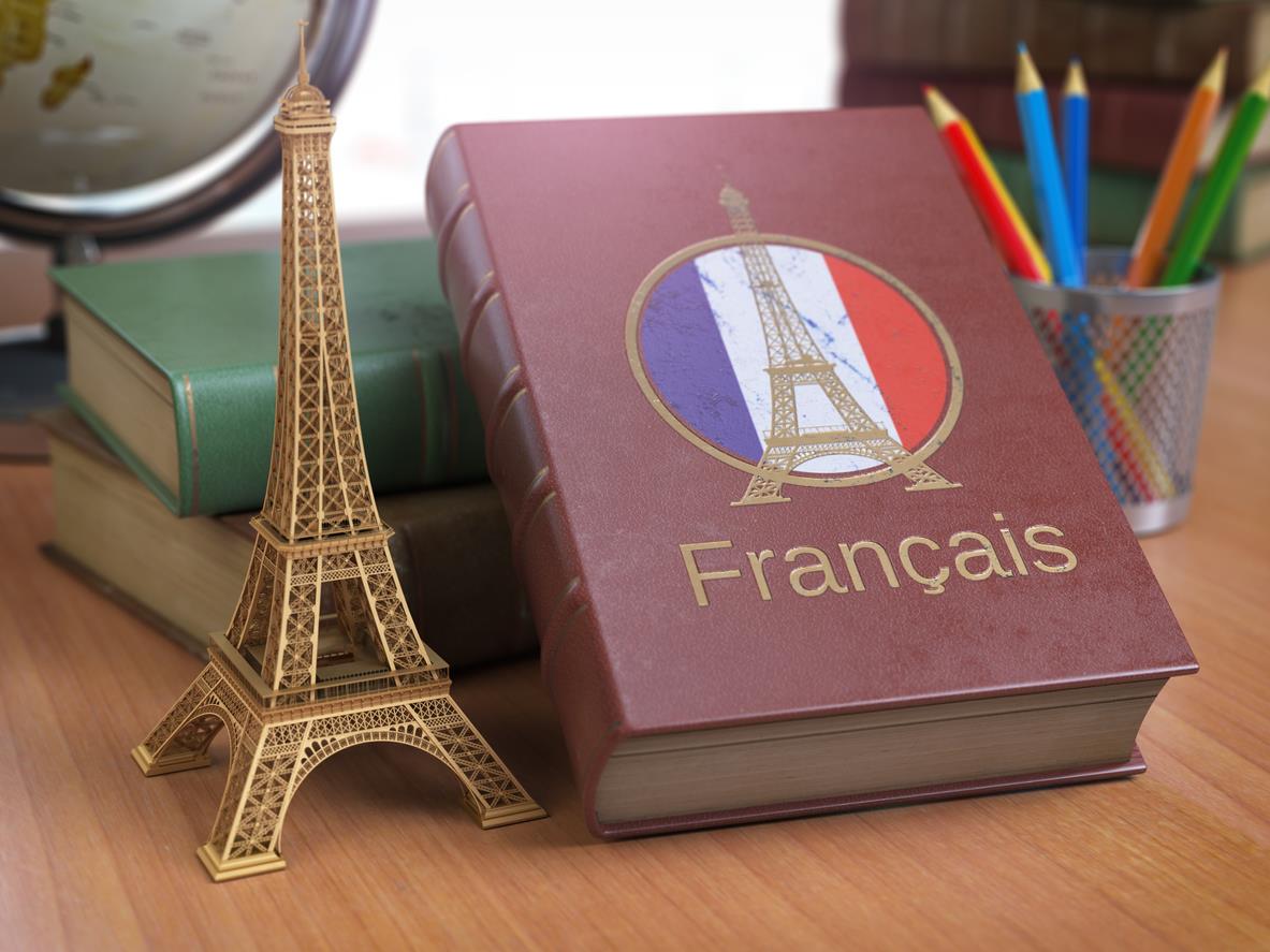 France to offer 5-year Schengen visa for Indian alumni under new education programme
