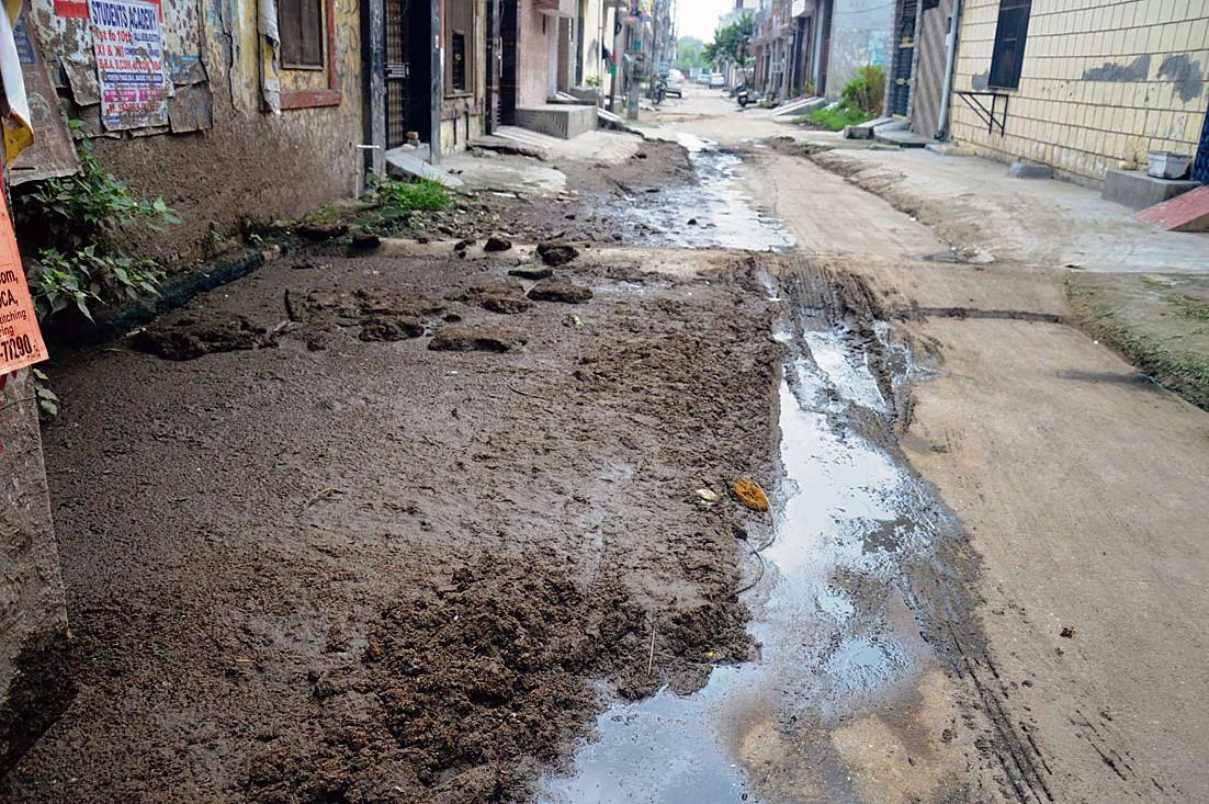 Ward Watch Ward No 25: Ludhiana Civic body fails to check sewage woes at Ganpati Vihar, other areas