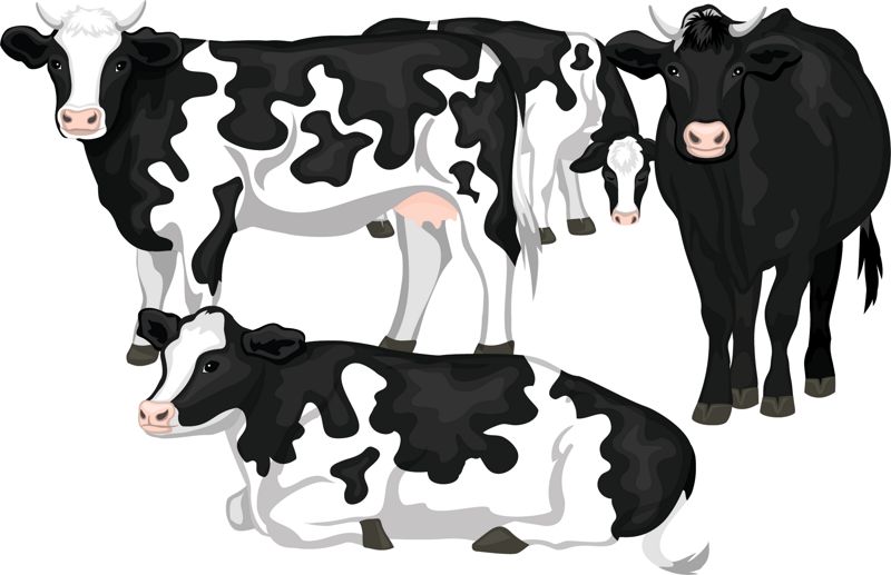 Milking the cash cow with carbon credits