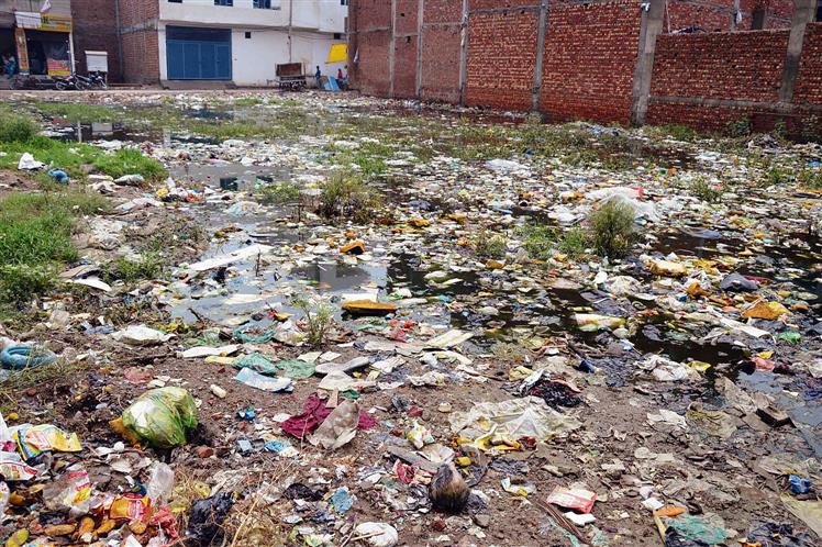 Ward no 2: Overflowing sewers, open dumping of waste in plots persistent issues