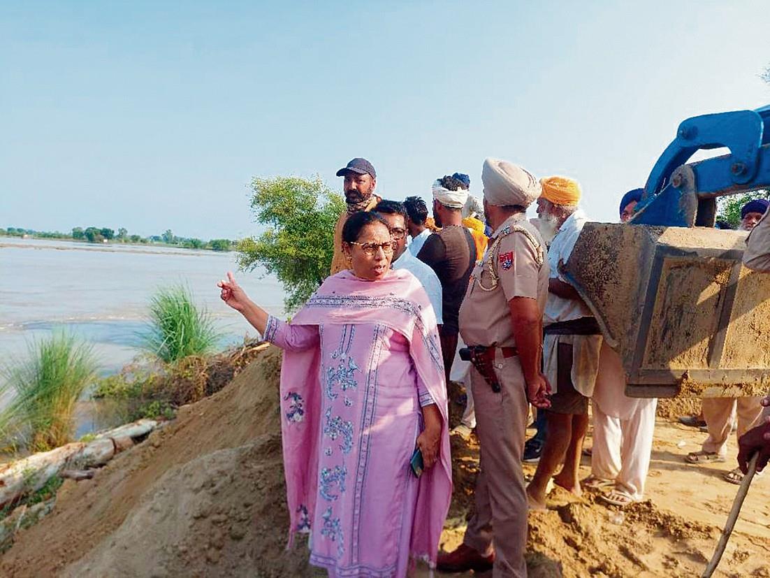 Sutlej reverting to its previous course