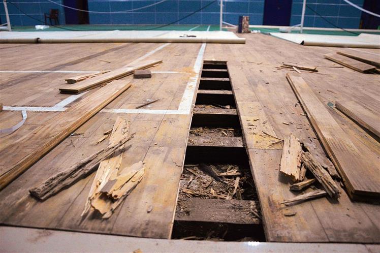 Infested with termites, new wooden badminton courts getting damaged