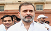 Rahul to contest LS poll from Amethi: UP Congress